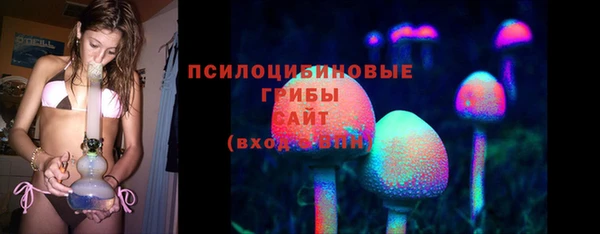 молекула духа Покровск