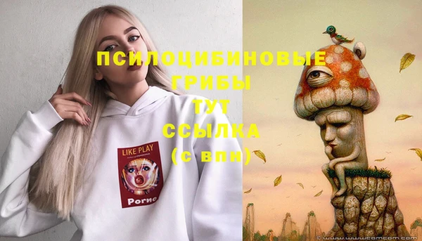 сатива Балабаново